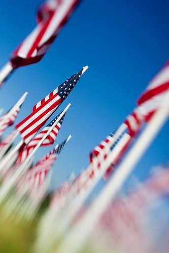 Memorial Day Flags Lined Up - Trade Winds Dental