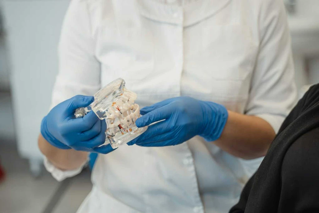 Dentist Holding Dental Model In Hand Teeth Grinding - Trade Winds Dental