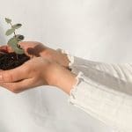 Green Fern Plant Cradled In Hands - Trade Winds Dental